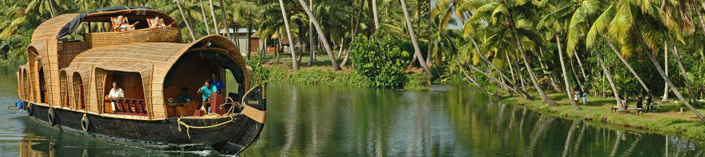 Kerala Honeymoon Tour Packages