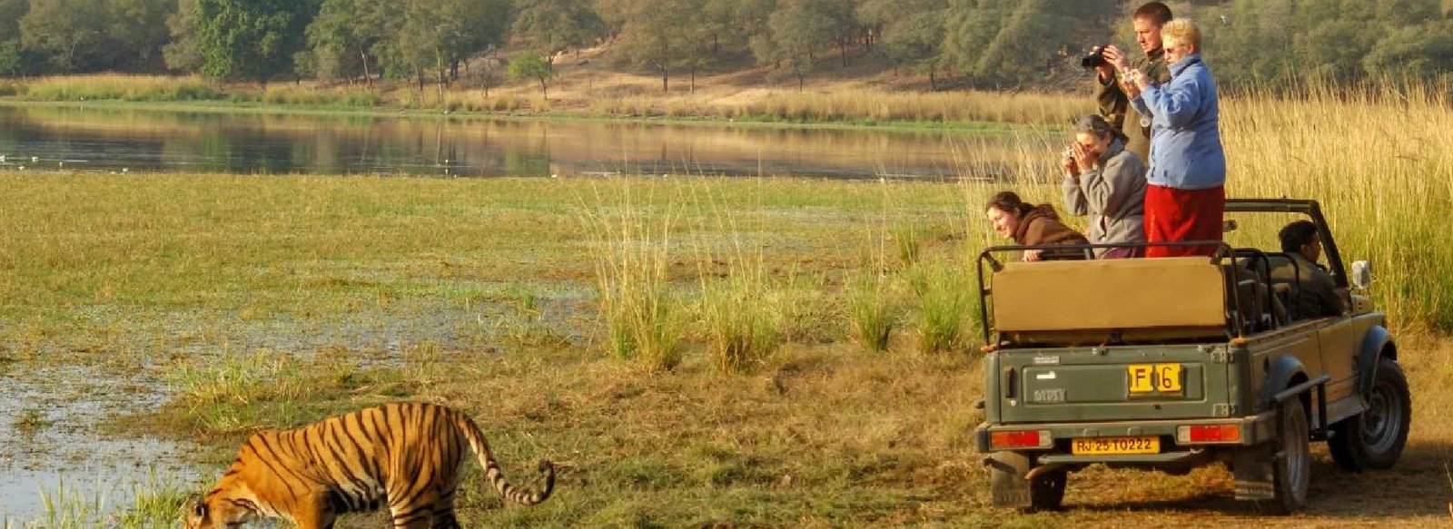 Wildlife Safari in Ranthambore National Park