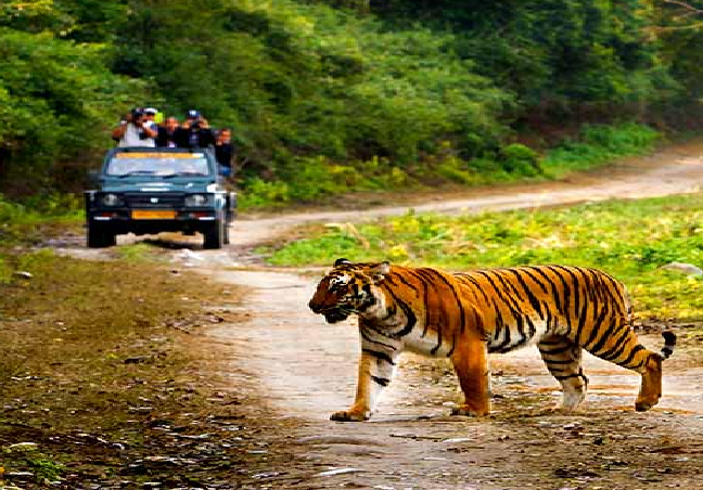 Golden Triangle and Ranthambore Tour