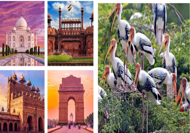 Golden Triangle with Bird Sanctuary Tour