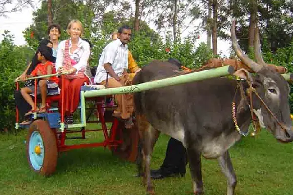 India Village and Culture Experience tour