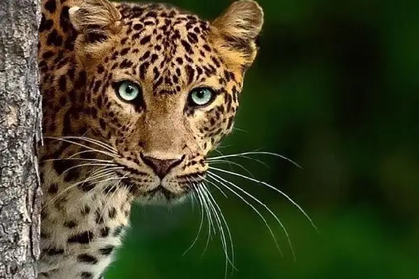 India Photography Tour