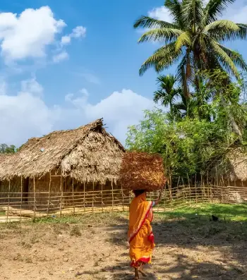 Rural & Village