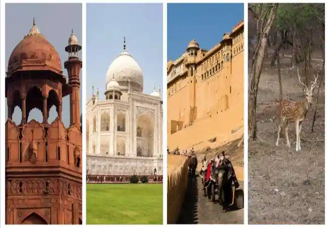Golden Triangle India Tour Packages from Glasgow