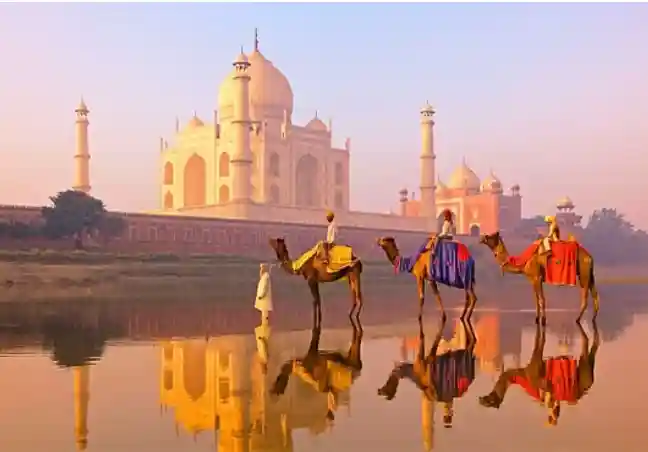 Golden Triangle India Tour Packages from Surat