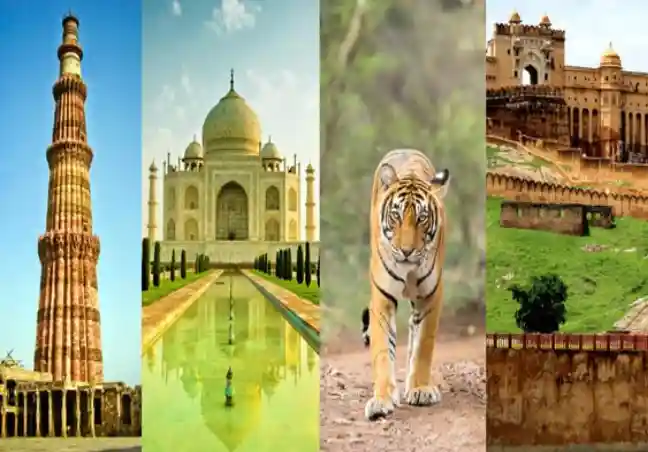 Golden Triangle Packages from Nagpur