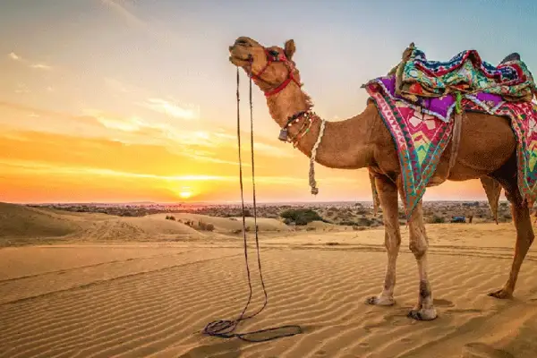 Rural Rajasthan Tour Package
