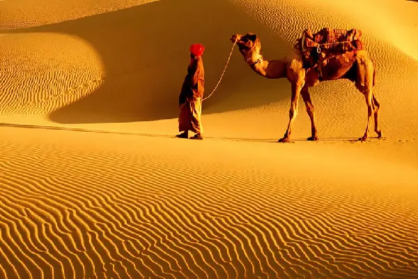 Jaipur Desert Tour Package