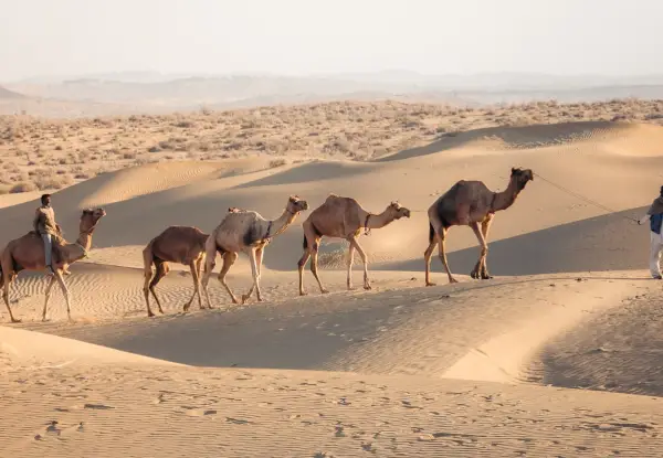 Extensive tour of Jaisalmer in 3 Days