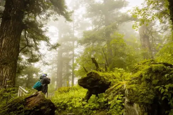 5 Nights / 6 Days Uttarakhand Tour | Discover Lakes & Temples