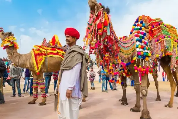 Rajasthan Cultural Tour Package